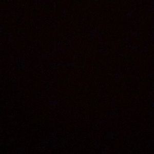 Meet your Posher, Garry